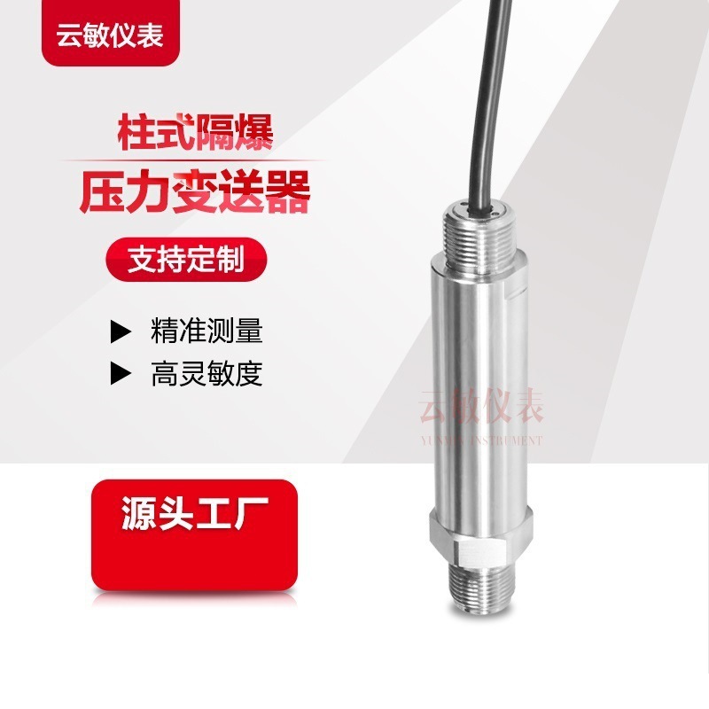 PM302防爆压力变送器传感器
