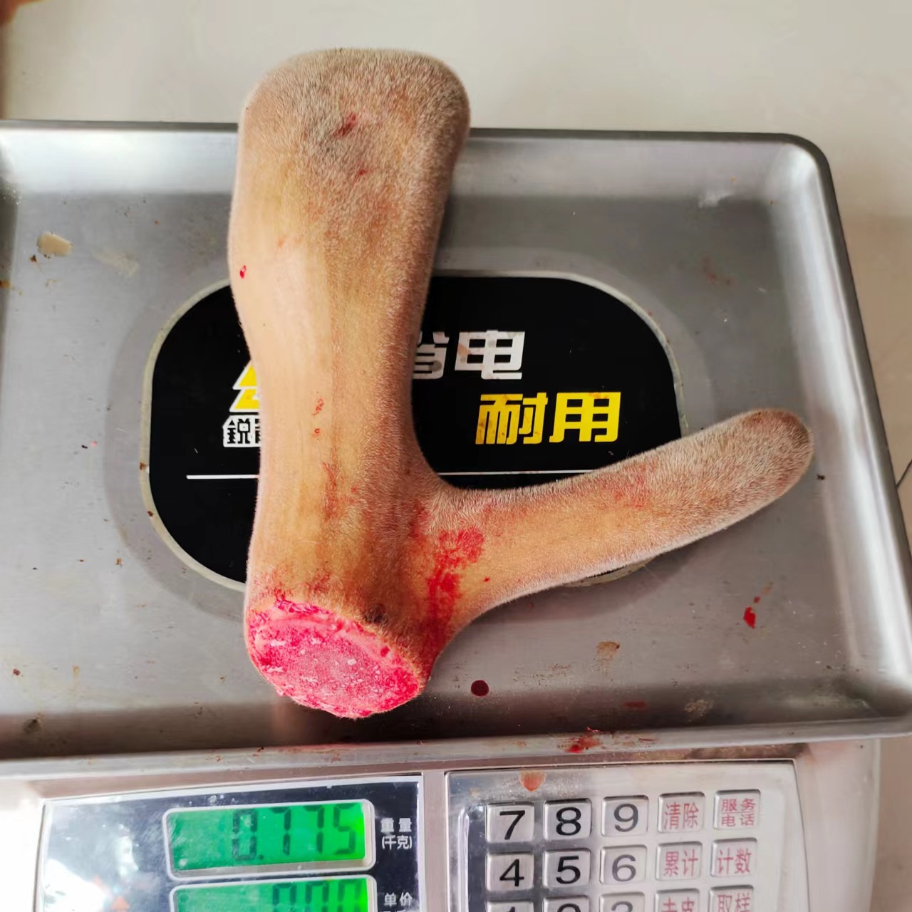 6422eda2b737c7176eed35965d75db