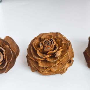 ľõ���ɹ�������Ȼ�ɻ��ɹ� DIYֲ��˱����������������h�b�