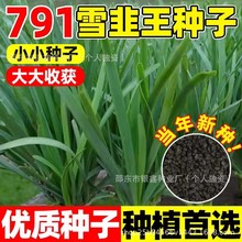 791ѩ�����׸��²����Ӿ²��ϸ���ԭװ�ļ��߲�˫���һ������