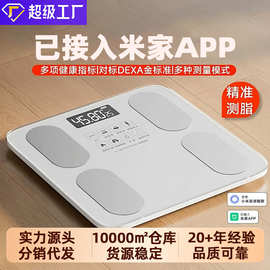 跨境家用体重秤精准电子秤定制充电称重人体健康称智能蓝牙体脂秤