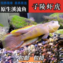 ԭ��Ϫ�������ͻ�����Ϻ����ˮ�׳��������ײ�С����ˮ�㵭ˮ��