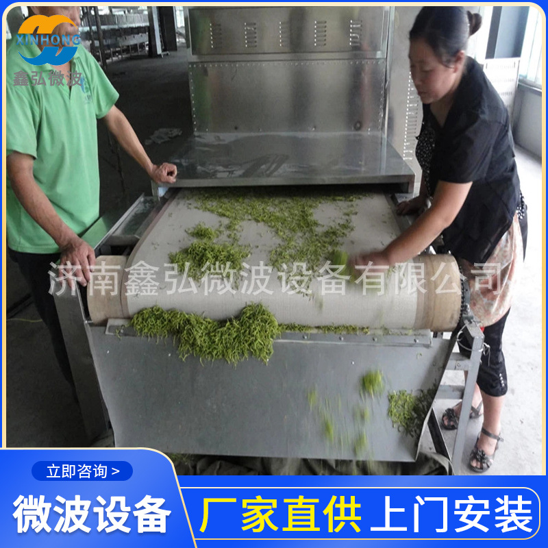 供应金银花杀青机XH-30kw隧道式微波杀青设备全不锈钢制造机