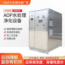 高浓度AOP 高级氧化设备 系统游泳池 养殖厂臭氧消毒厂水处理设备