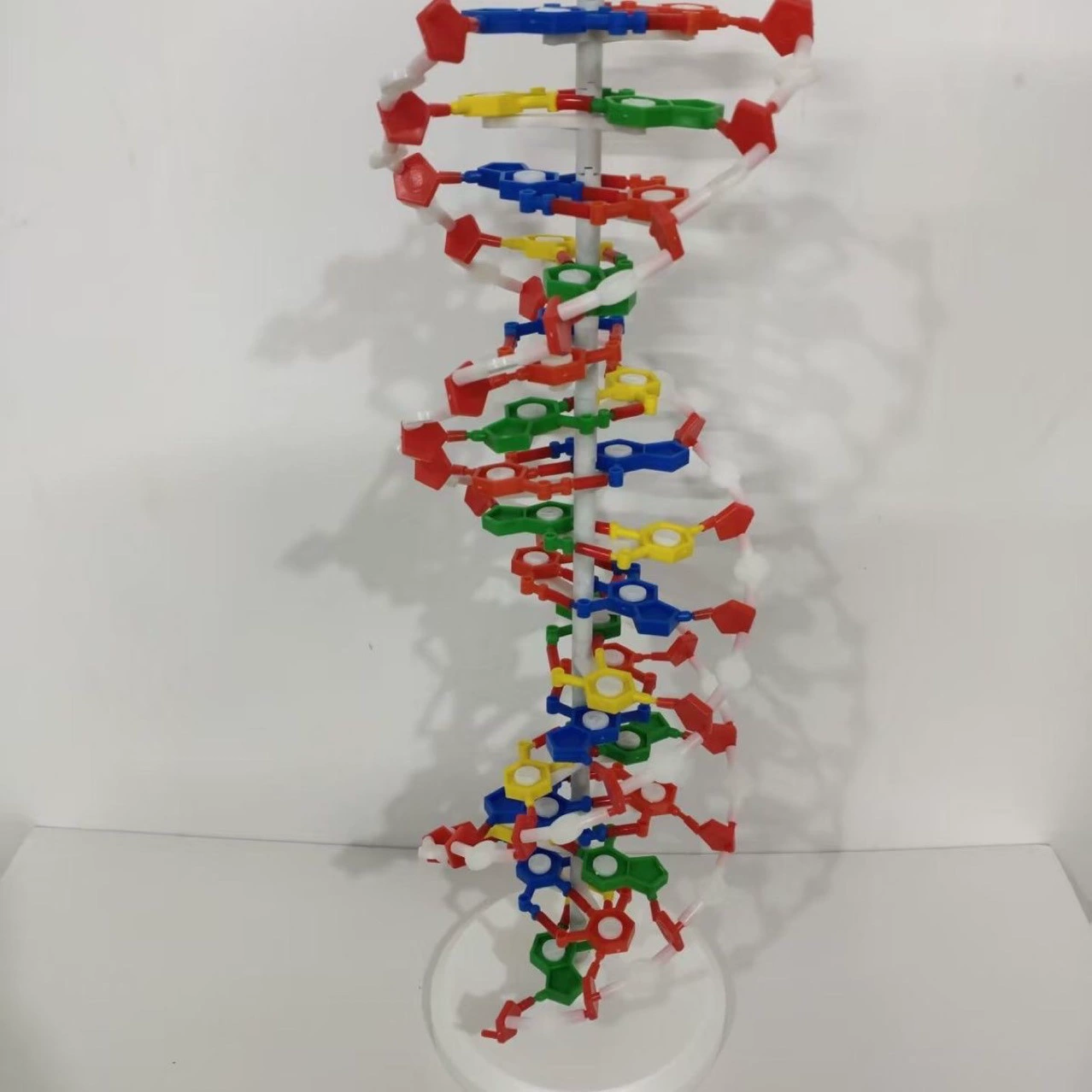 Модель структуры двойной спирали ДНК, большая базовая пара с базой 3212, инструмент для обучения биологическим генетическим генам средней школы