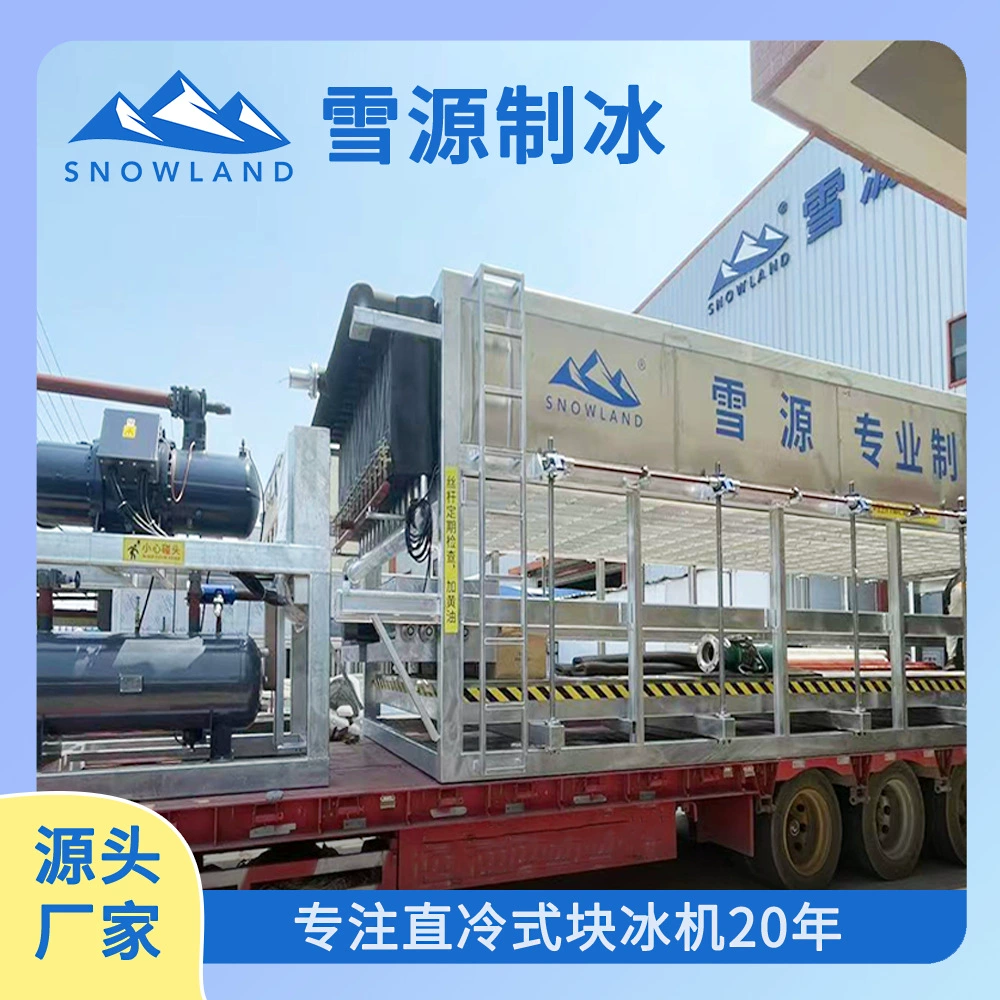 Ледогенератор Xueyuan мощностью 20 тонн потребляет 55 киловатт электроэнергии на тонну льда. Скрытый инструмент для соответствия требованиям для клиентов холодовой цепи/рыболовства.