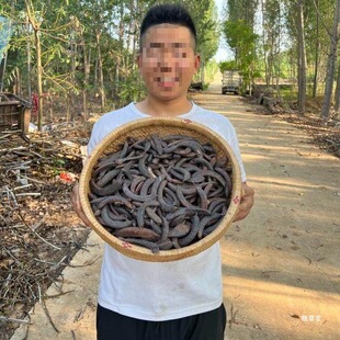 ���i�����ǡ�С����С���vɽ�������������r��С������؛��؛