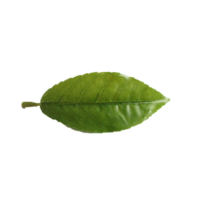 Monolithic Xin Yang Mao Jiang tea, green tea, white tea, red (black) tea, wholesale