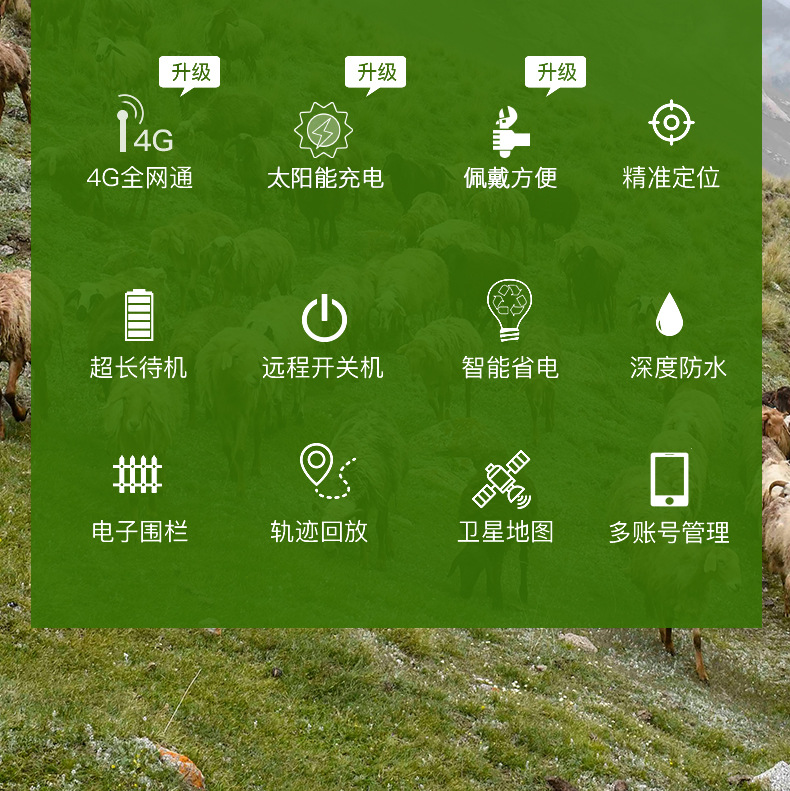5g Cattle and Sheep Tracker Gps Solar-Powered Locator for Remote Tracking in Mountainous Areas, Popular for Cross-Border Use