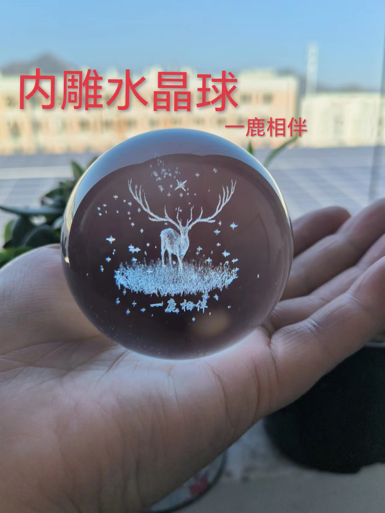 微信图片_20231101161259