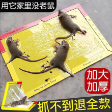 粘鼠板强力粘鼠标老鼠贴新款家用强力胶抓杀大老鼠老鼠板包邮批发