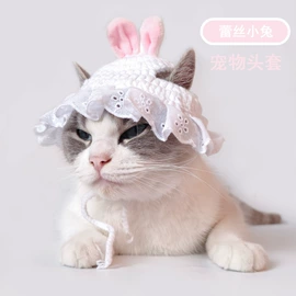 宠物围巾;宠物帽子;伊丽莎白圈