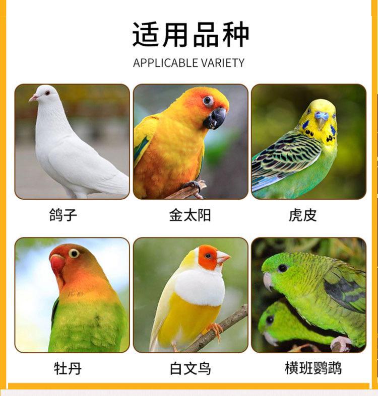 White Perilla Seed Bai Su Zi 500g Dried Perilla frutescens Seeds for Traditional Herbal Decoctions key features