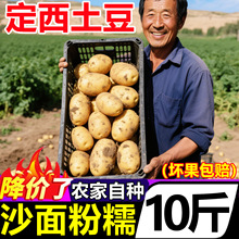 正宗甘肃定西沙面土豆当季新鲜蔬菜10斤整箱黄心土豆洋芋马铃薯