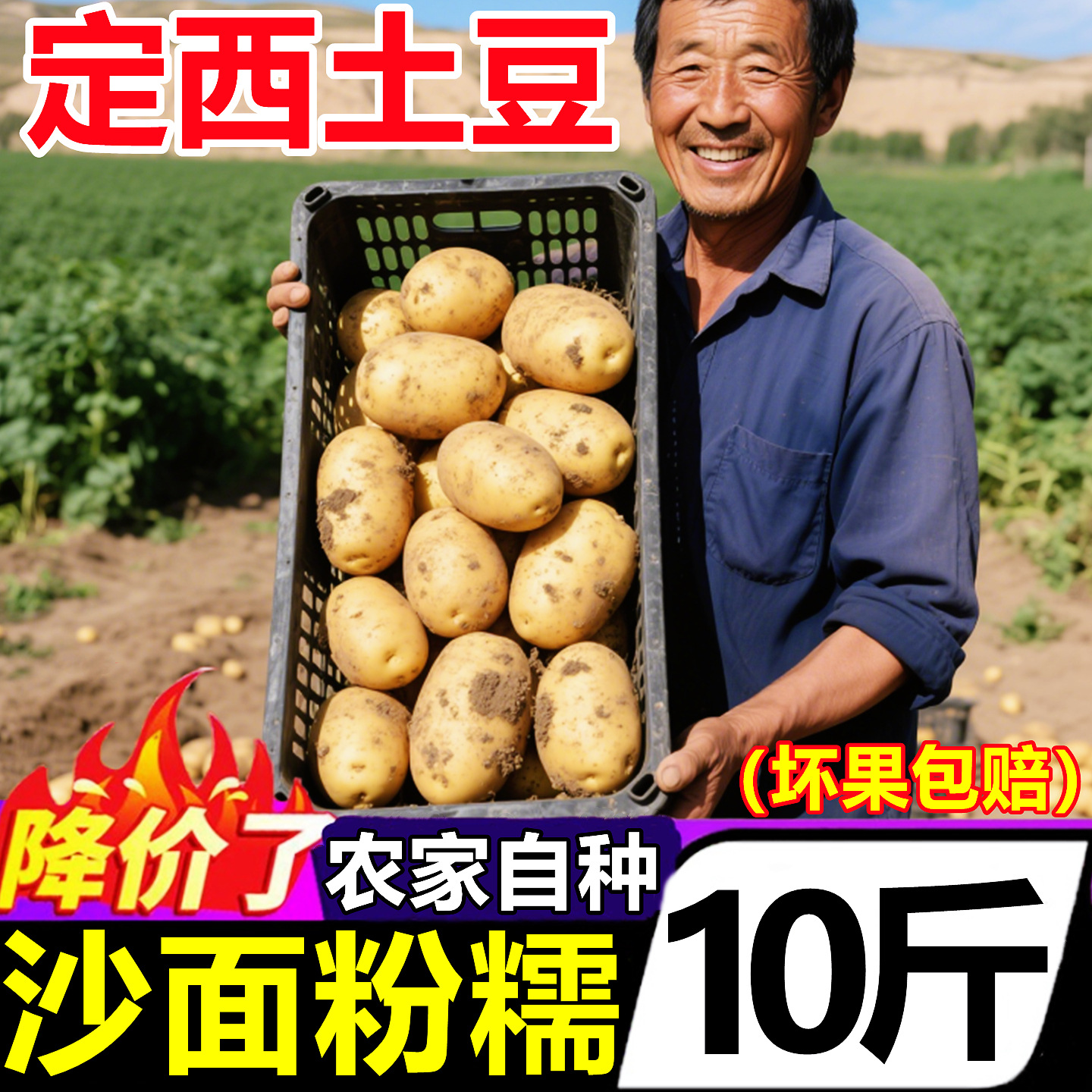 正宗甘肃定西沙面土豆当季新鲜蔬菜10斤整箱黄心土豆洋芋马铃薯
