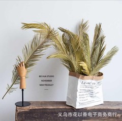鉄の葉の乾いた花の乾燥した葉の鳳尾の葉の植物の柔らかい服は結婚祝いの花芸のショーウインドーの民宿の装飾の尾の葵の葉を設計します。