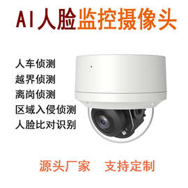 AI人脸识别智能安防监控摄像头500万2.5寸PTZ云台半球监视相机