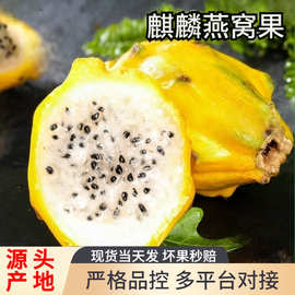 顺丰海南燕窝果麒麟果新鲜现摘大果当季鲜果热带水果整箱礼盒包邮