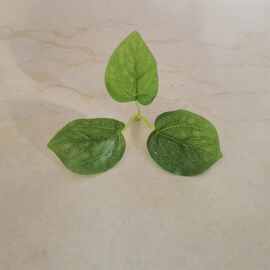 三叉过胶叶子 仿真手感花叶配件 植物墙绿植插花装饰配件工厂批发
