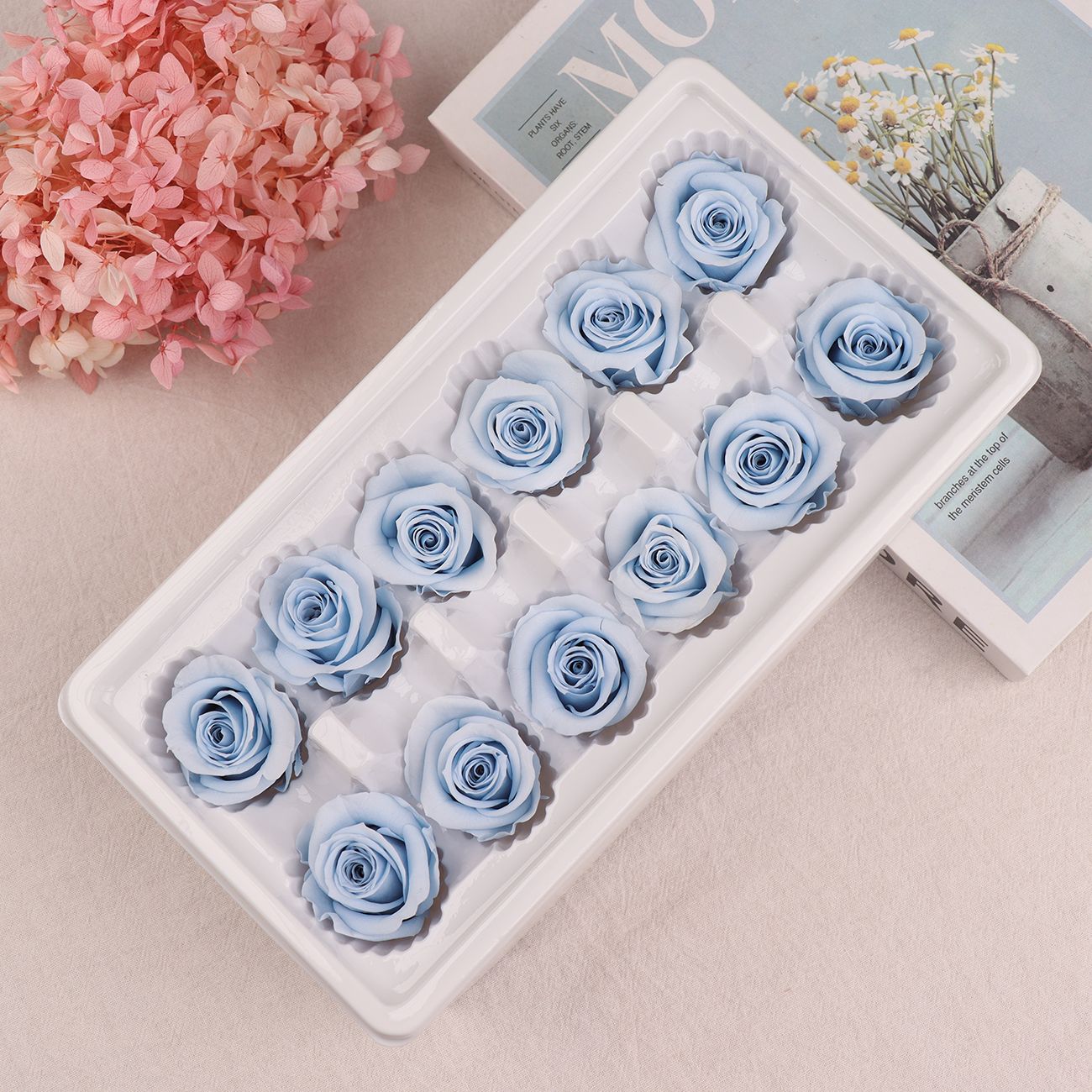 Cabezas de Rosa Eternas A+, 3-4 cm, 12 Piezas, Materiales para Manualidades Florales, Caja de Regalo, Fabricante, Venta al por Mayor