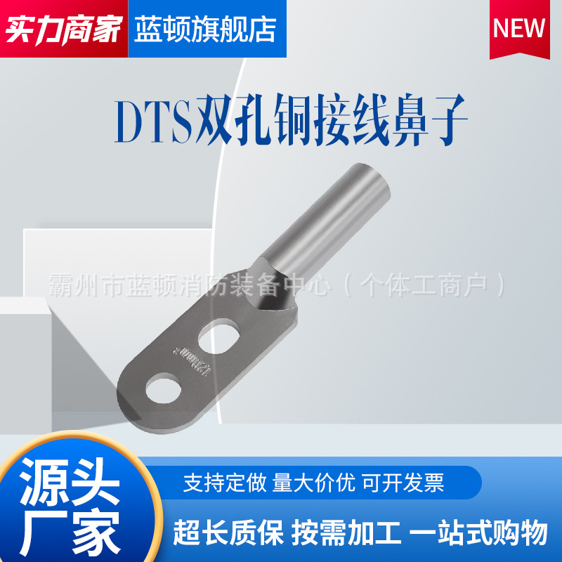 接线端子电线铜线鼻子堵油铜接头DTS双孔镀锡线鼻子铜线耳