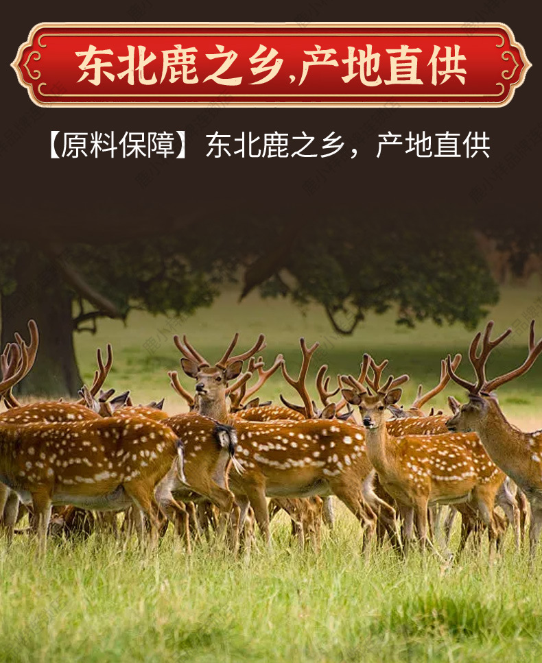 Deer Penis and Tail Paste Gift Box 250g Ready to Eat Men's Traditional TCM Herbal Tonic in use