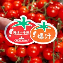 С�����N�� ǧ�������z�˺��}Ů�����N ����С���ј˺��N�̘˷��N