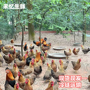 �`ɽ�����ɽ���@�u��S���]ɢ�B���g���r�F���F�l�ߵ��u���u���u