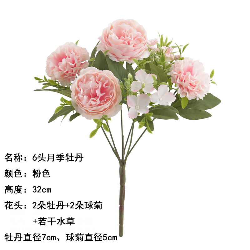 6 장미 모란 핑크