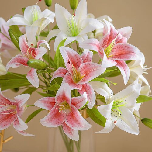 Floral 3D Printed Double-Headed Lily with Insulated Style, Fake Flower Manufacturer for Home Decor, Cross-Border Wedding Supplies, Wholesale - MW31587