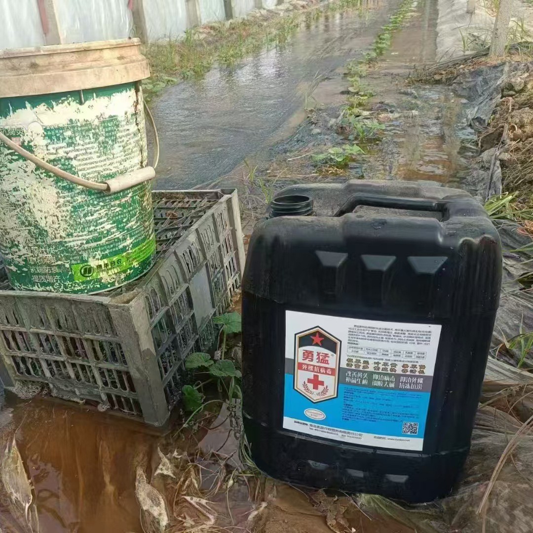 厂家发酵菌种微生物菌海藻液体肥勇猛菌剂下乡死棵病毒下岗