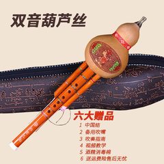 凤尾竹真葫芦小学生成人儿童初学入门初学者乐器葫芦丝降b调c调