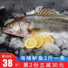 �O����~ ���r�������|�~ ����Ǻ��|�~���|�~ ���rˮ�a 2��*1