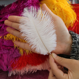 �S��ֱ�N10-15cm�r�Bë��cDIY��̨����b����b��ɫ��ë�o�����l