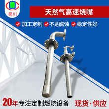 工业焚烧炉天然气高速烧嘴 主火枪锅炉燃烧器配件 燃气点火枪烧嘴