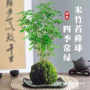 ˮ������ֲ�����ˮ�Bֲ���ͺ��G�k�������[�ļ����������՚�