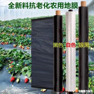 Agricultural Black Film White Film Silver Black Double Color Reflective Thickening Anti-aging Plastic Film for Herbicidal Insulation Wet Anti-grass
