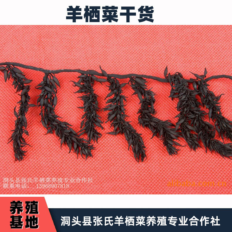 羊栖菜干货洞头县 海洋菜海草 鹿尾菜 出口日本羊栖菜 鹿角菜干货