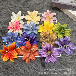 ����3D���İٺϻ��^ �ͮ�С�ٺ������^��c�ҾӰ��ֶY�b�DIY����