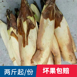 �M�����r�ذ����ذ����ذ����عS��ؐ�������ؙ��仨����β�ؙ���