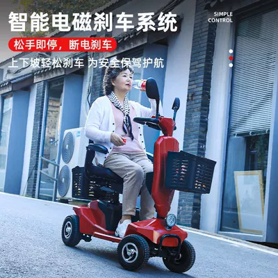 Qatlanan elektrik velosipedlər — Car Old Man Le Shi
