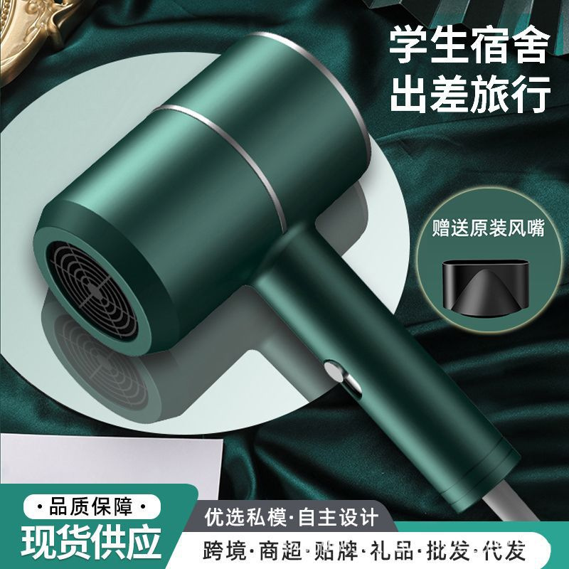 Xinbailu Cross-Border New Hair Dryer Home Hair Salon Hair Care Silent Quick-Drying Hair Dryer Foreign Trade European Standard Hair Dryer