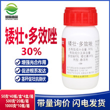 全丰控宝30%矮壮素多效唑 控旺控梢防徒长抗倒伏植物生长调节剂
