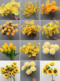 ��c�����Sϵ��Y�û��ę����S��픻�·���廨ӆ�鱳��ܛ�b��