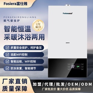 Foshiya Gas Wall-Mounted Boiler for Heating and Hot Water, Direct Supply Heating Stove Suitable for Multiple Scenarios