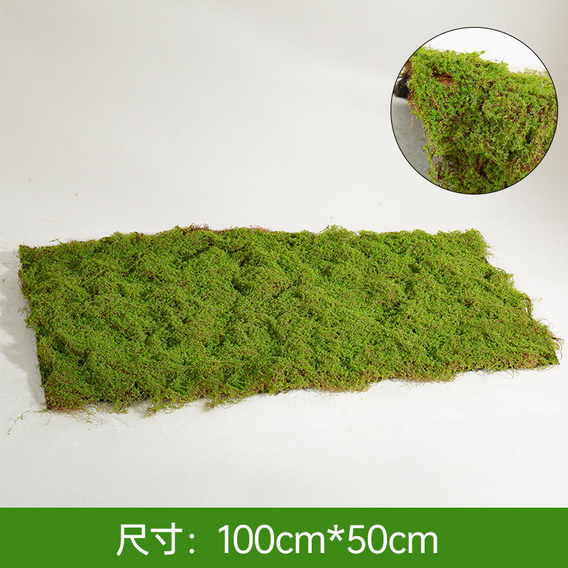 Coconut moss light green turf [100cm*50cm]