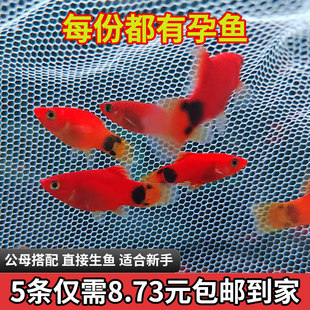 �����~ �¹��~ ̥���~ С���~ �^�p�~ �������] ���B�������~���]