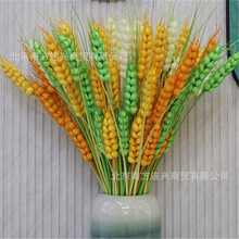 �������^�����_�I�c�仨�@�������������ә����b������̈��[��