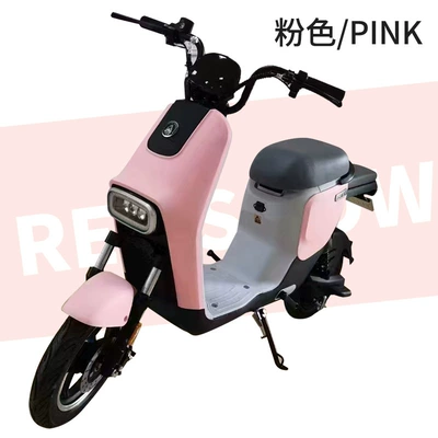 Elektrikli motosikletlər, Power Supply Emu Small Electric - pink-specialized-in-exporting-naked-bikes-minimum-order-of-20-units