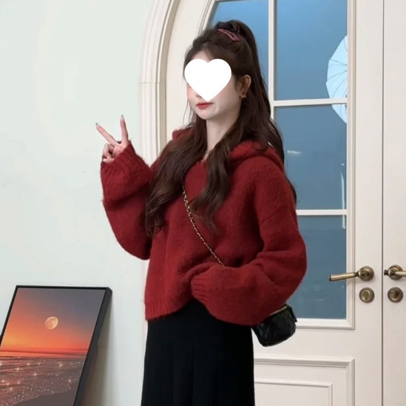 2025初冬搭配一整套连帽毛衣女半身裙两件套小个子时尚减龄套装|undefined